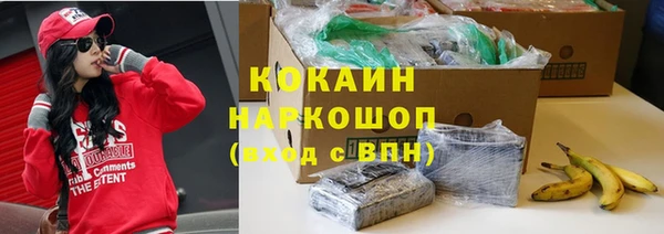 дживик Аркадак