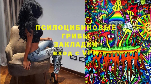 дживик Аркадак