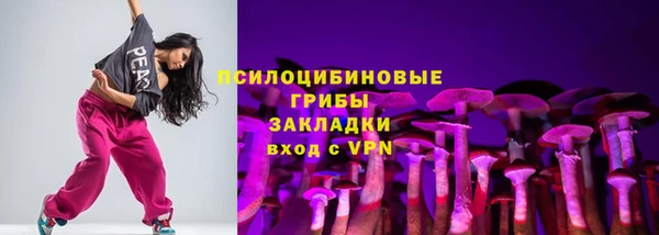 дживик Аркадак