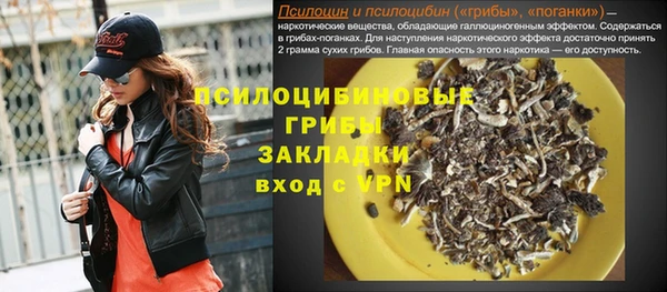 спиды Арсеньев