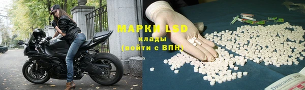 дживик Аркадак