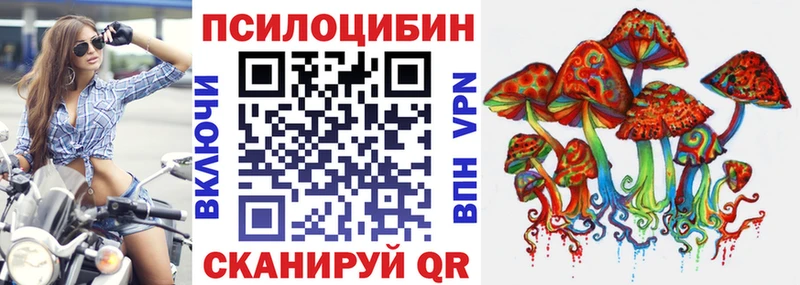 даркнет клад Светлогорск Галлюциногенные грибы GOLDEN TEACHER